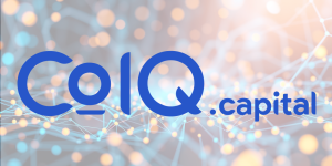 CoIQ-Rentablo-Titelbild